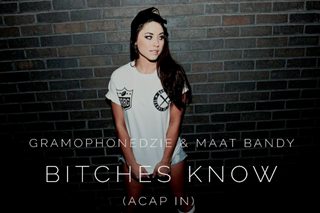 Bitches Know by Gramophonedzie & Maat Bandy Download