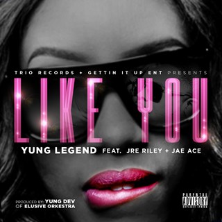 Like You by Yung Legend ft Jre Riley & Jae Ace Download