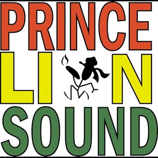 Man On A Mission by Prince Lion Sound Download
