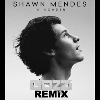 Wonder by Shawn Mendes Download