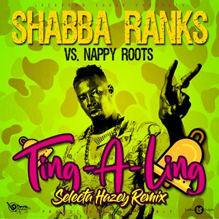 Ting A Ling X Good Day by Shabba Ranks X Nappy Roots Download