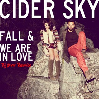 We Are In Love by Cider Sky Download