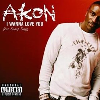 I Wanna Love You by Akon ft Snoop Dogg Download