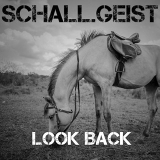 Look Back by Schall Geist Download