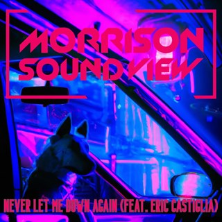 Never Let You Down by Morrison Sound View ft Eric Castiglia Download