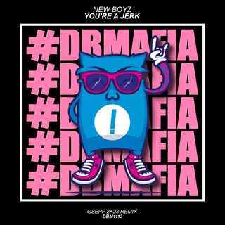 Youre A Jerk by New Boyz Download