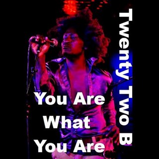 You Are What You Are by Twenty Two B Download