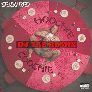 Hoochie Coochie Clean by Sexyy Red & The 2 Live Crew Download