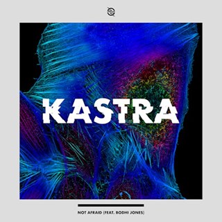 Not Afraid by Kastra ft Bodhi Jones Download
