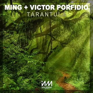 Tarantula by Ming & Victor Porfidio Download