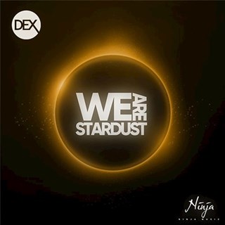 We Are Stardust by Dex Download