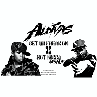 Get Ur Freak On X Hot Nigga by DJ Aldivas Download
