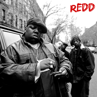 Party And Bullshit by Notorious Big Download