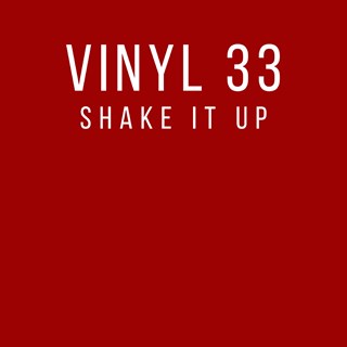 Shake It Up by Vinyl 33 Download