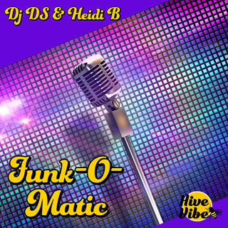 Funk O Matic by DJ D S & Heidi B Download