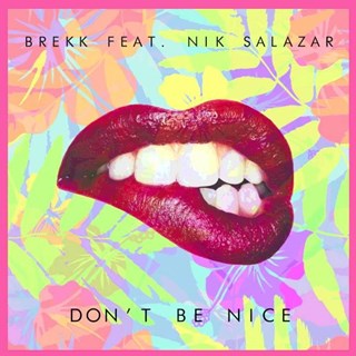 Dont Be Nice by Brekk ft Nik Salazar Download