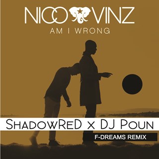 Am I Wrong by Nico & Vinz Download