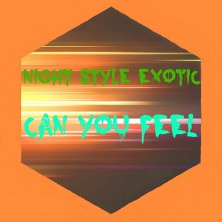 Can You Feel by Night Style Exotic Download