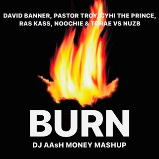 Burn by David Banner, Pastor Troy, Cyhi The Prince, Ras Kass, Noochie & Torae vs Nuzb Download