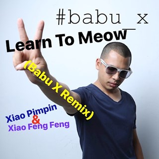 Learn To Meow by Xiao Pimpin & Xiao Feng Feng Download