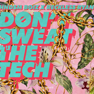 Dont Sweat The Tech by Reckless Ryan & Hndsm Boiz Download