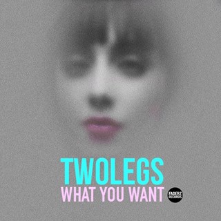 What You Want by Two Legs Download