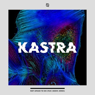 Not Afraid by Kastra ft Bodhi Jones Download