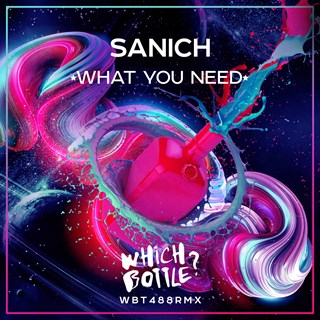 What You Need by Sanich Download