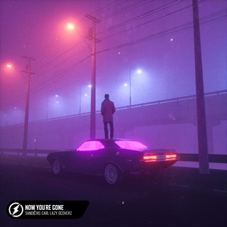 Now Youre Gone by Sandero, Carl Lazy & D Coverz Download
