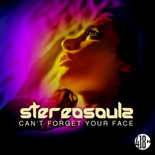 Cant Forget Your Face by Stereosoulz Download