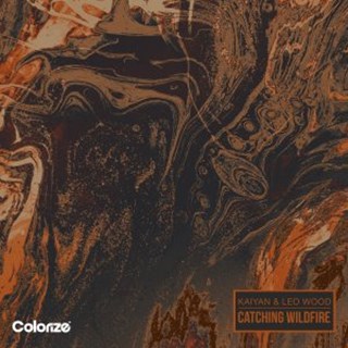 Catching Wildfire by Kaiyan & Leo Wood Download