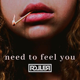 Need To Feel You by DJ Roller Download