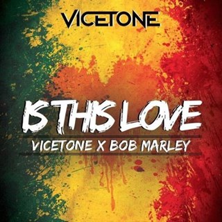 Is This Love by Bob Marley X Vicetone Download