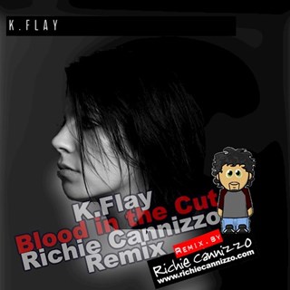 Blood In The Cut by K Flay Download