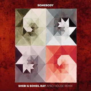 Somebody by Gotye,Shebi,Kimbra,Soheil Ray Download