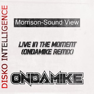 Live In The Moment by Morrison Sound View Download