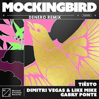 Mockingbird by Tiesto, Dv&Lm, Gabry Ponte Download