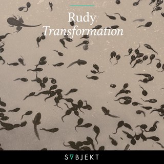 Transformation by Rudy Download