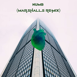 Numb by Marshalls Download