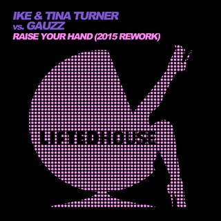 Raise Your Hand by Ike & Tina Turner Vs Gauzz Download