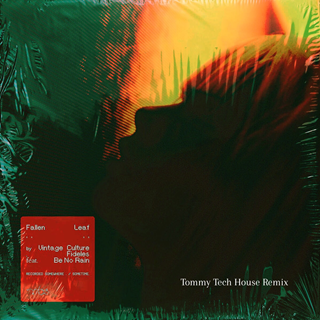 Fallen Leaf by Vintage Culture, Fideles, Be No Rain Download