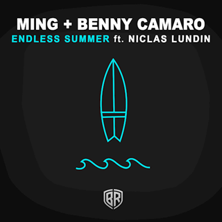 Endless Summer by Min & Benny Camaro ft Niclas Lundin Download