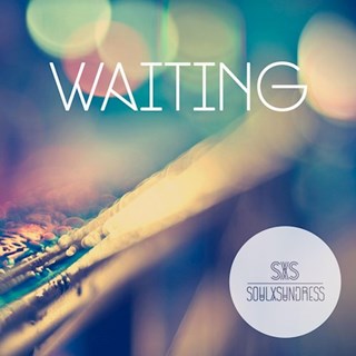 Waiting by Soul X Sundress Download