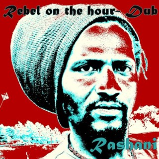 Institutional Racism Dub by Rashani Download