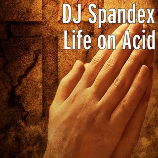 Life On Acid by DJ Spandex Download