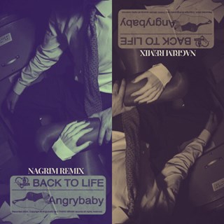 Back To Life Remix by DJ Nagrim Download