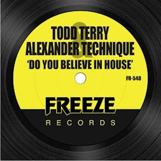 Do You Believe In House by Todd Terry & Alexander Technique Download