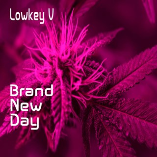 Brand New Day by Lowkey V Download