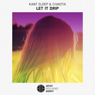 Let It Drip by Kant Sleep & Chaotix Download