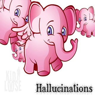 Hallucinations by Kid Loose Download